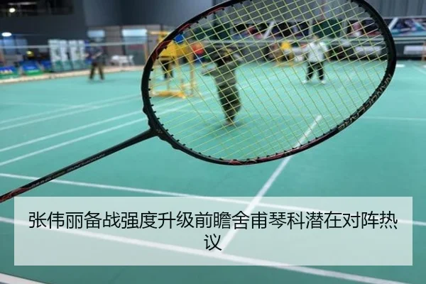 张伟丽备战强度升级前瞻舍甫琴科潜在对阵热议